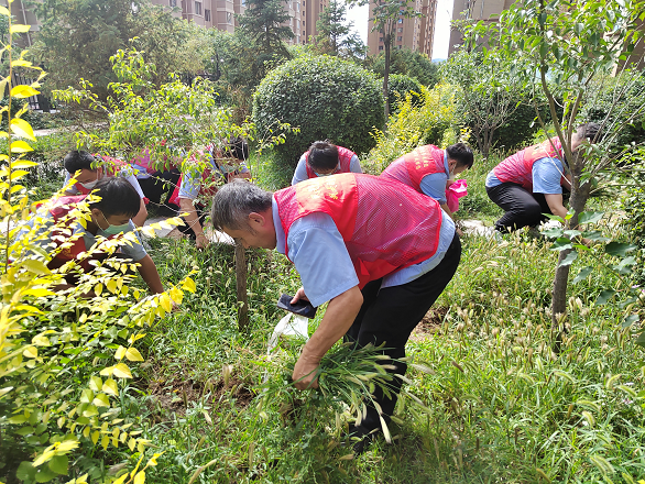 微信图片_20220823094926.png 微信图片_20220823094926.png